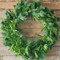 36" Bristle Pine Wreath with Natural Touch Evergreens Full-Size Realistic Holiday Greenery